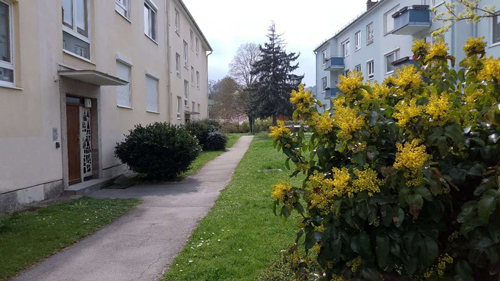 Immobilie Berndorf